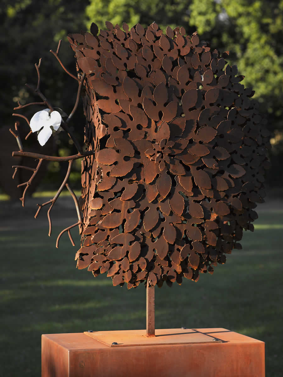 Sculptural forms Kooper Tasmania, Australia